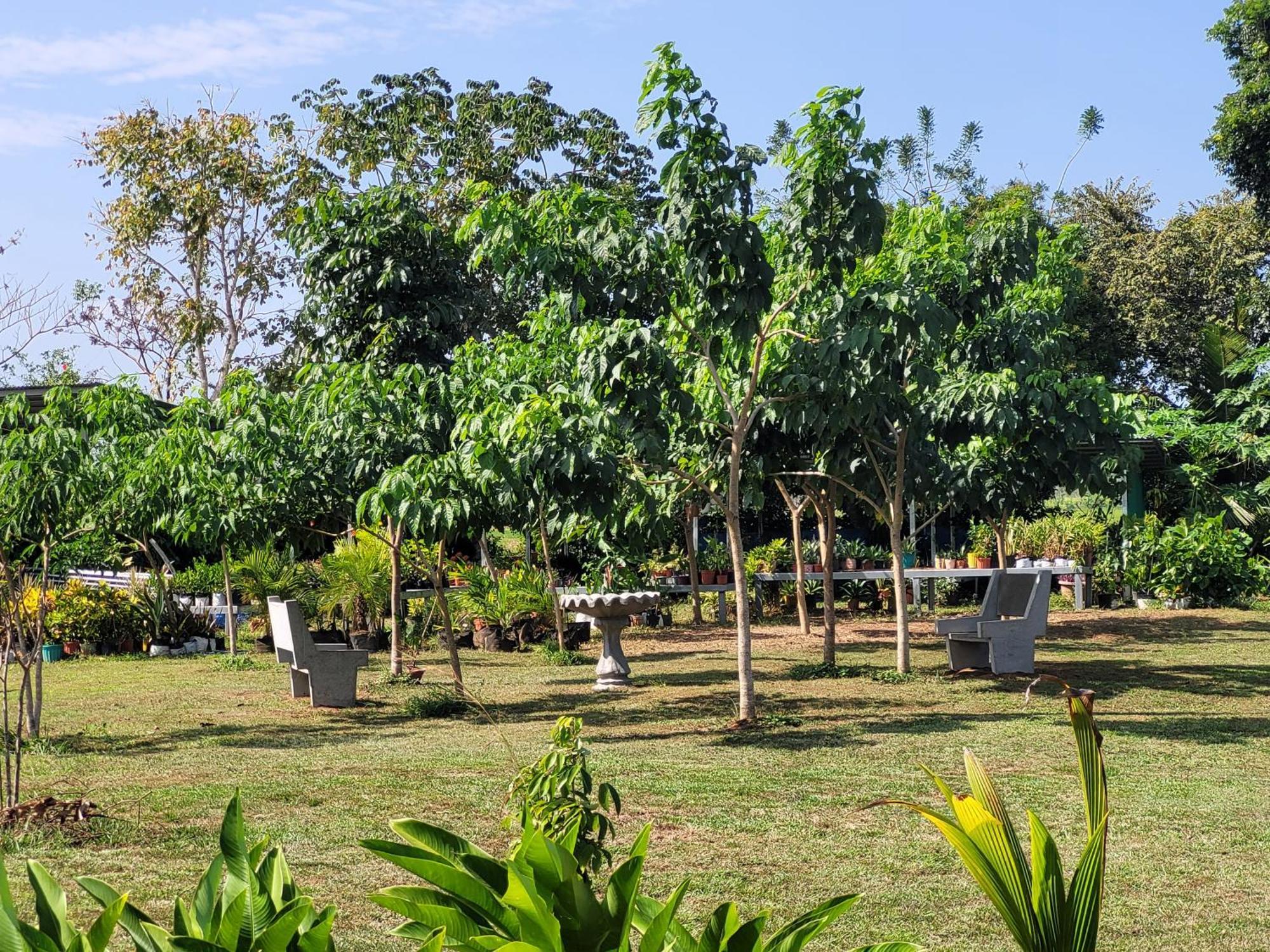 The Inn At Punta Mala Pedasi Town Exterior photo